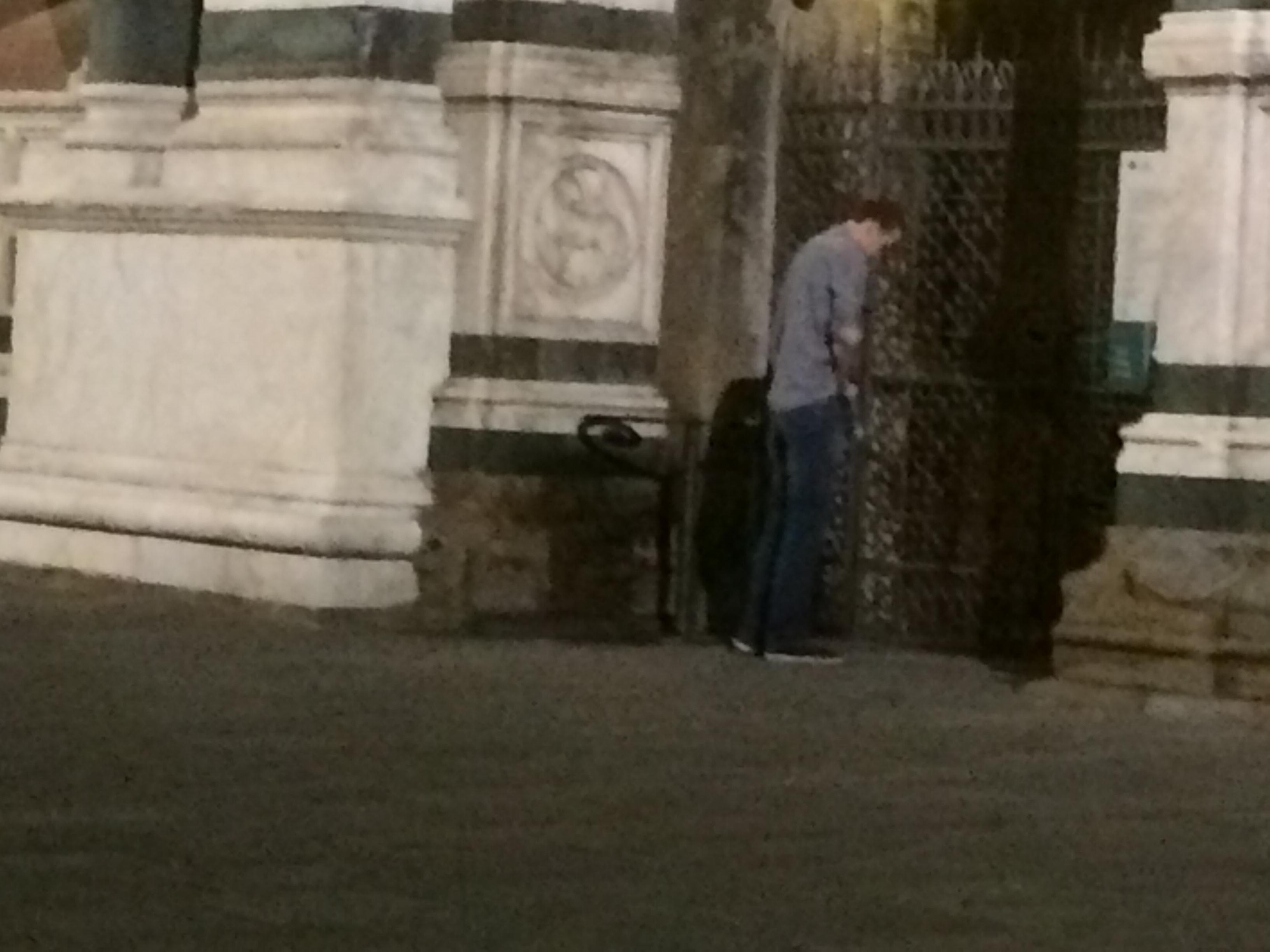Sul disco treno degli studenti Erasmus 