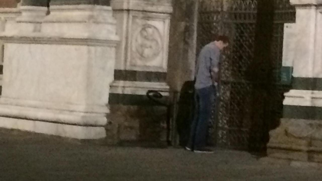 Sul disco treno degli studenti Erasmus