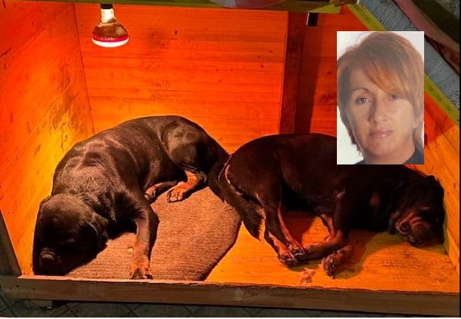 Concordia. L’imprenditrice Besutti sbranata dai suoi rottweiler. La ricostruzione