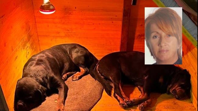 Concordia. L’imprenditrice Besutti sbranata dai suoi rottweiler. La ricostruzione