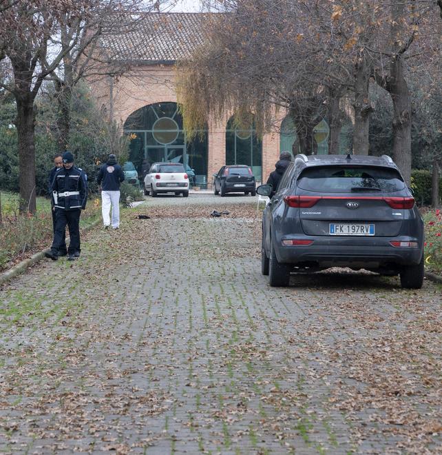 Concordia In febbraio i due molossi di Iolanda Besutti avevano lacerato le braccia a un giardiniere in cortile 