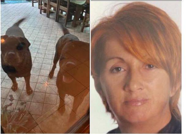 Concordia «I miei leoni»: così Iolanda Besutti elogiava sui social i suoi cani&nbsp;
