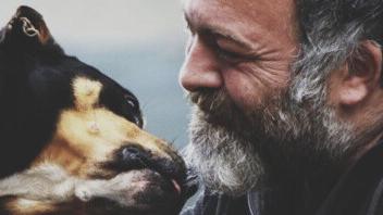 Concordia. Sbranata dai rottweiler. L'esperto Luca Spennacchio: «Bisogna capire chi si occupava dei rottweiler»