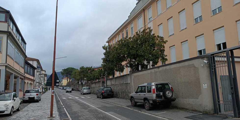 Cagnolino sbranato in strada da un altro cane mentre è al guinzaglio: non arriva del veterinario e muore
