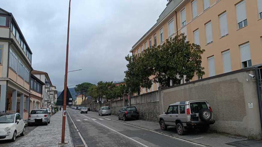 Cagnolino sbranato in strada da un altro cane mentre è al guinzaglio: non arriva del veterinario e muore