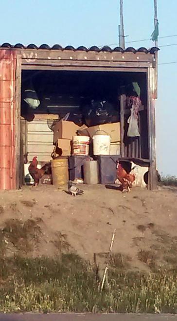 Comacchio, via i capanni abusivi: «Argini più sicuri ma che dispiacere»