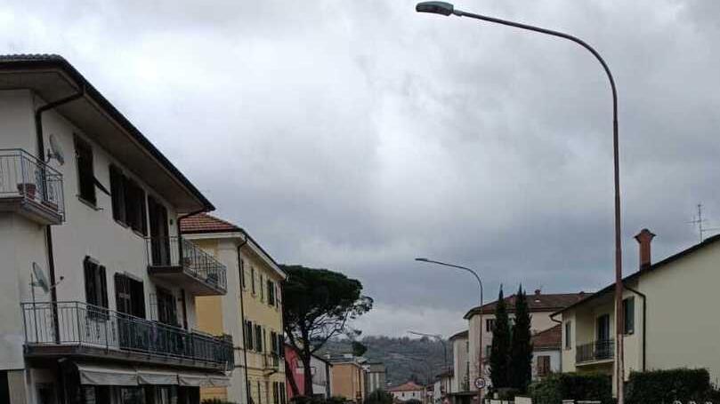 Cane sbranato per strada a Pontremoli: partita la denuncia all’Asl