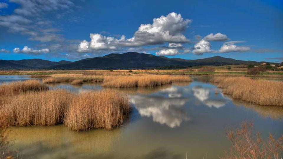 Dietrofront su Diaccia Botrona