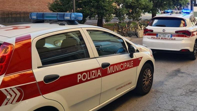 A Livorno quattro incidenti con fuga al mese. E sono decine le auto senza assicurazione