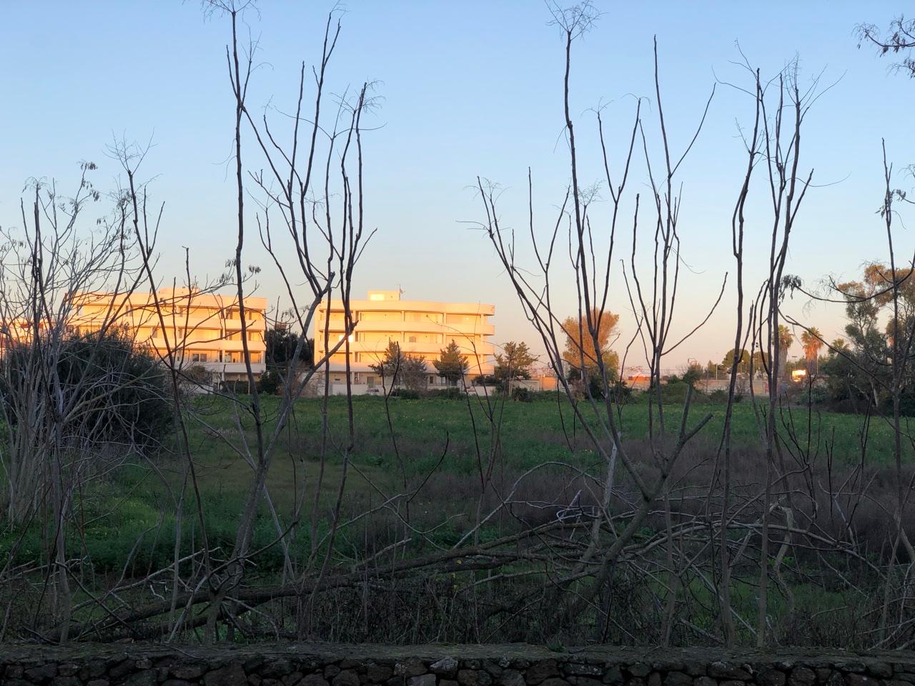 L'area dove dovrebbe sorgere il palazzetto
