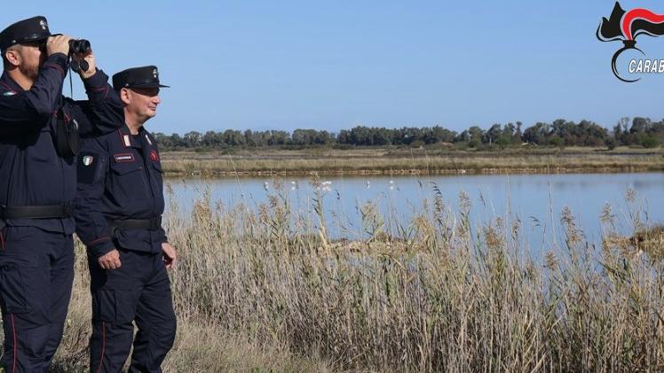Storni e testuggini ancora vive: denunciati 3 bracconieri sorpresi a Molentargius