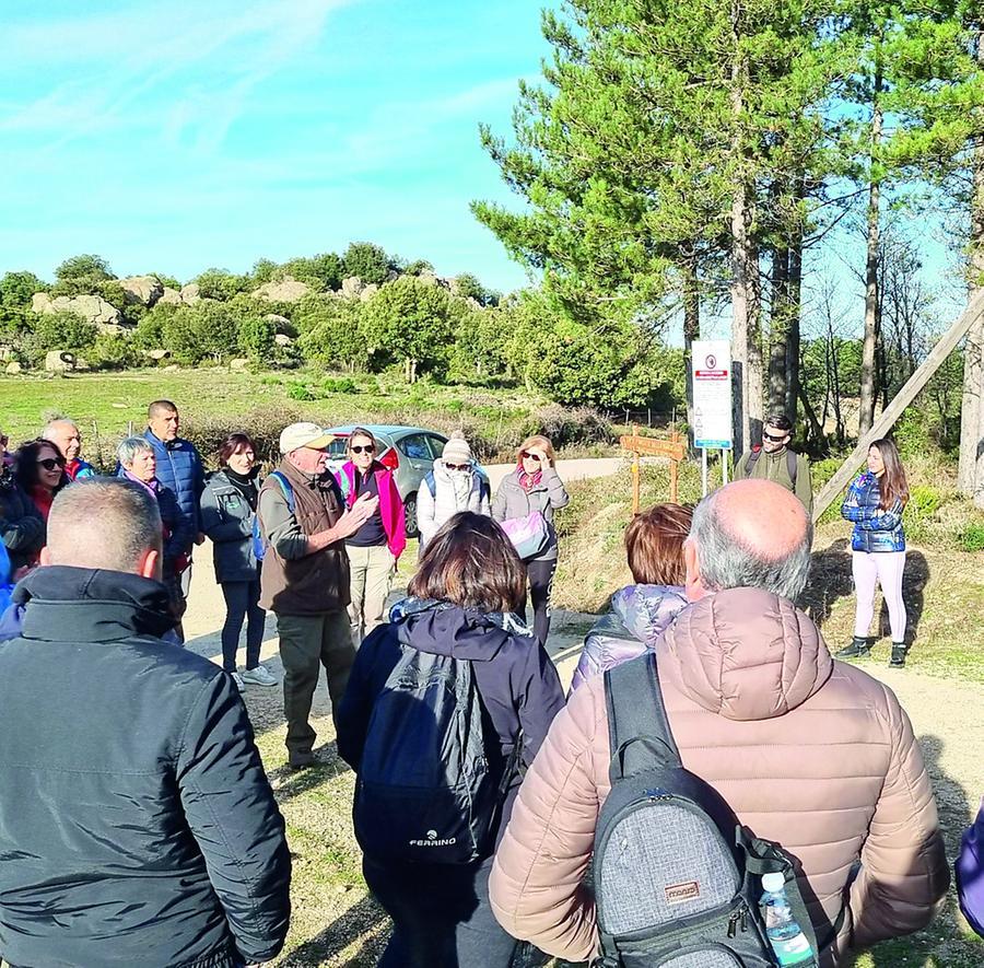 Foreste aperte: boom di visitatori