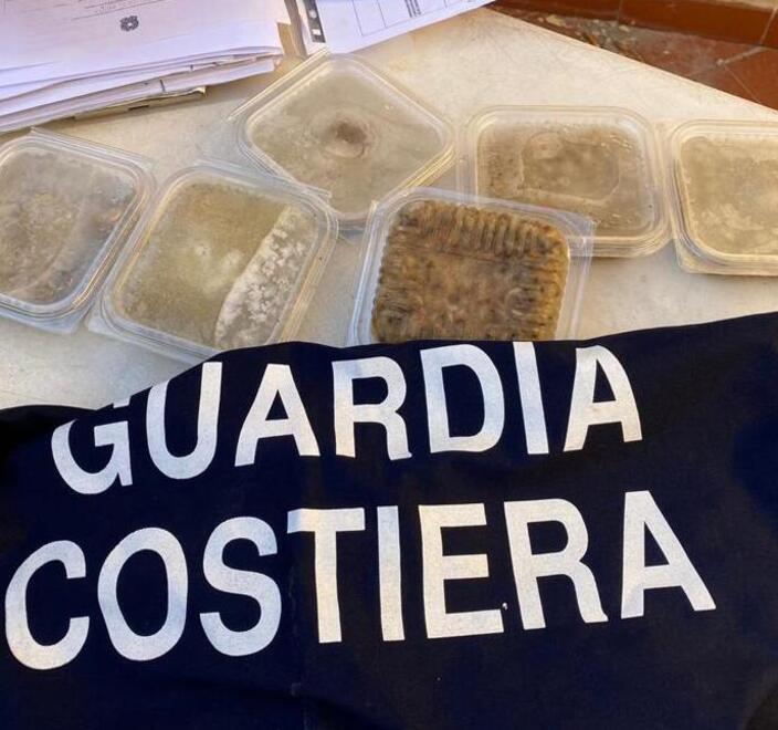 Pesce scaduto o non tracciato: scatta la multa per venti ristoranti viareggini