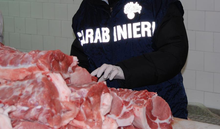 Alimenti avariati, scarafaggi e topi morti: chiuso un ingrosso ad Assemini
