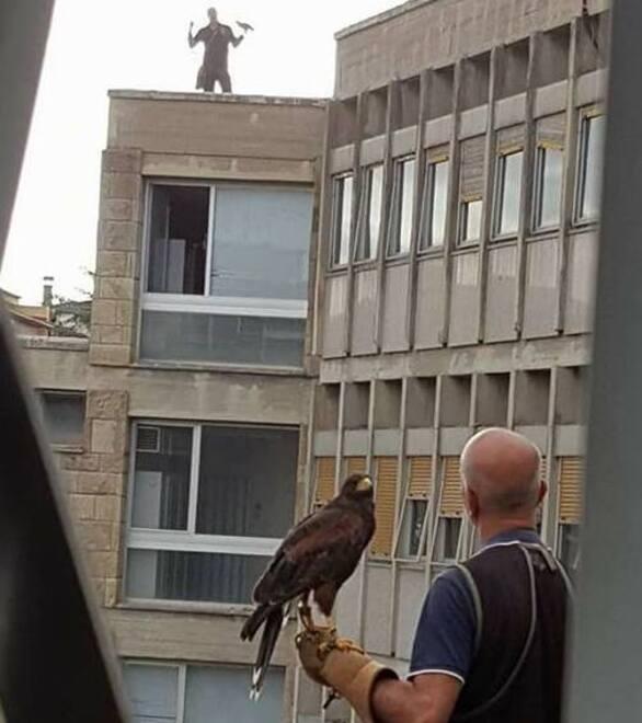 L’intervento di bird control del 2017 sui tetti del Tribunale di Grosseto