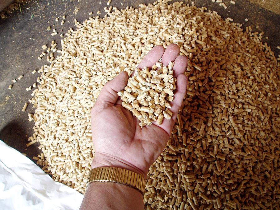 La Sardegna è la prima regione in Italia per consumo di pellet