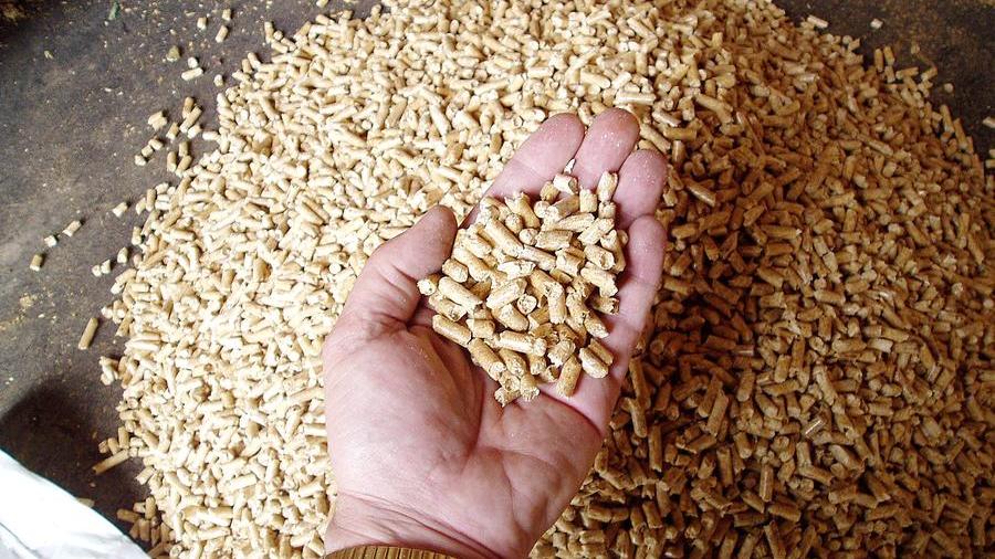 La Sardegna è la prima regione in Italia per consumo di pellet