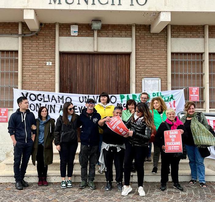 Lido Volano: «I daini finiranno in allevamenti e zoo»