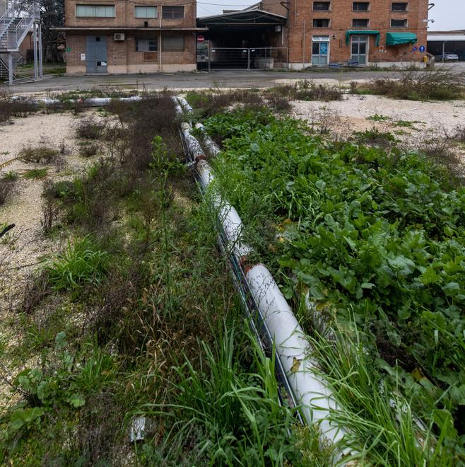 Ferrara. «Ex Amga inquinata da Italgas»: il Tar dà ragione ad Arpae 