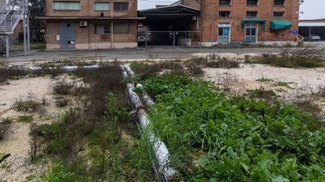 Ferrara. «Ex Amga inquinata da Italgas»: il Tar dà ragione ad Arpae