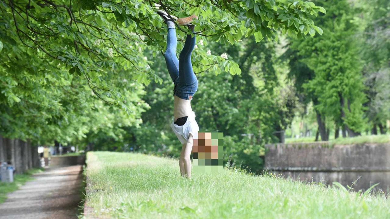 Mura di Lucca, via al piano anti-caduta: i lavori partono a primavera