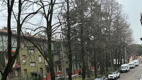 Caccia al ladro di bici del quartiere Crocetta
