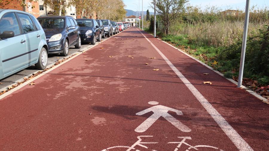 Pisa, una pista ciclabile ad “anello” tra il Cnr e via Matteucci: il progetto, i costi e i tempi