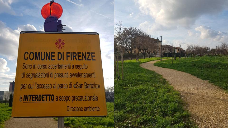 Cani uccisi a Firenze, è stata la stricnina. Scatta la bonifica di tutto il parco di San Bartolo
