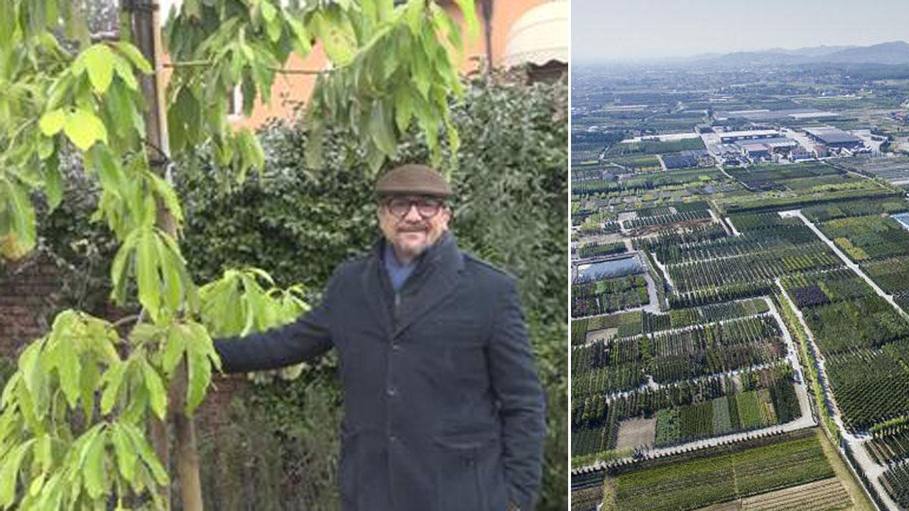 Nei vivai di Pistoia fioriture anticipate olivi e viti a 500 metri di altezza