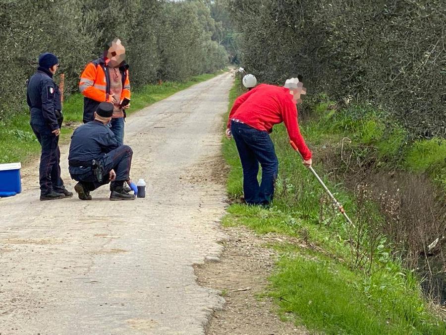 Arpat e carabinieri forestali alla Trappola