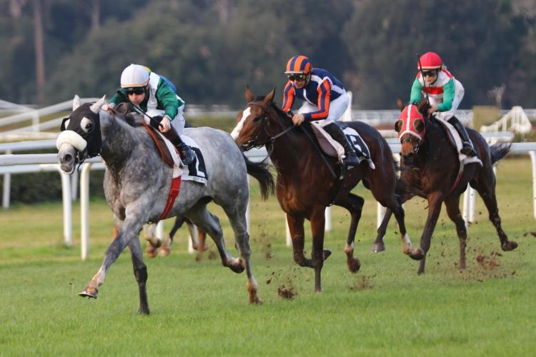 
	La vittoria di Budrio nel premio "Ennio Rinaldi"

