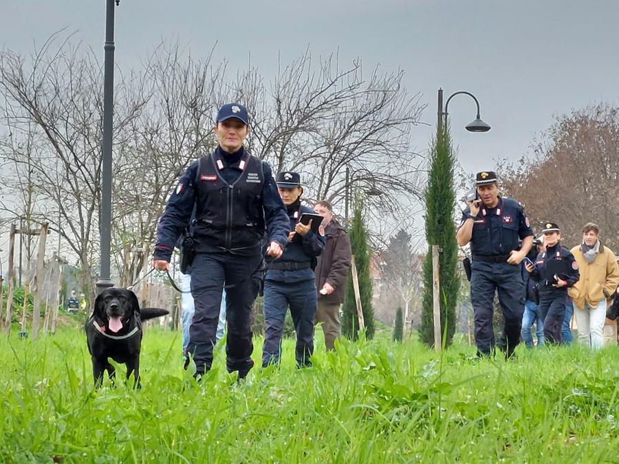Cani avvelenati, le bonifiche nel parco danno esito negativo: nessuna traccia di veleno