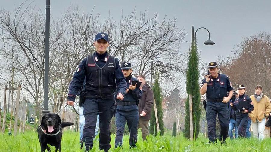 Cani avvelenati, le bonifiche nel parco danno esito negativo: nessuna traccia di veleno