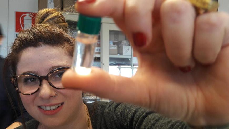 Chiara Magliaro con in mano un organoide in provetta