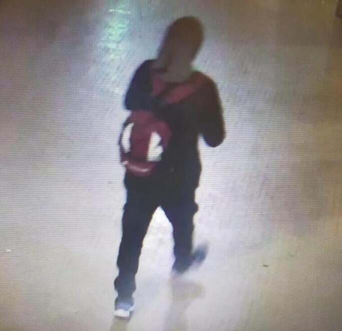 L’uomo denunciato dalla polizia municipale per violenza sessuale e lesioni personali mentre viene ripreso dalla videosorveglianza alla Stazione di Pisa Centro