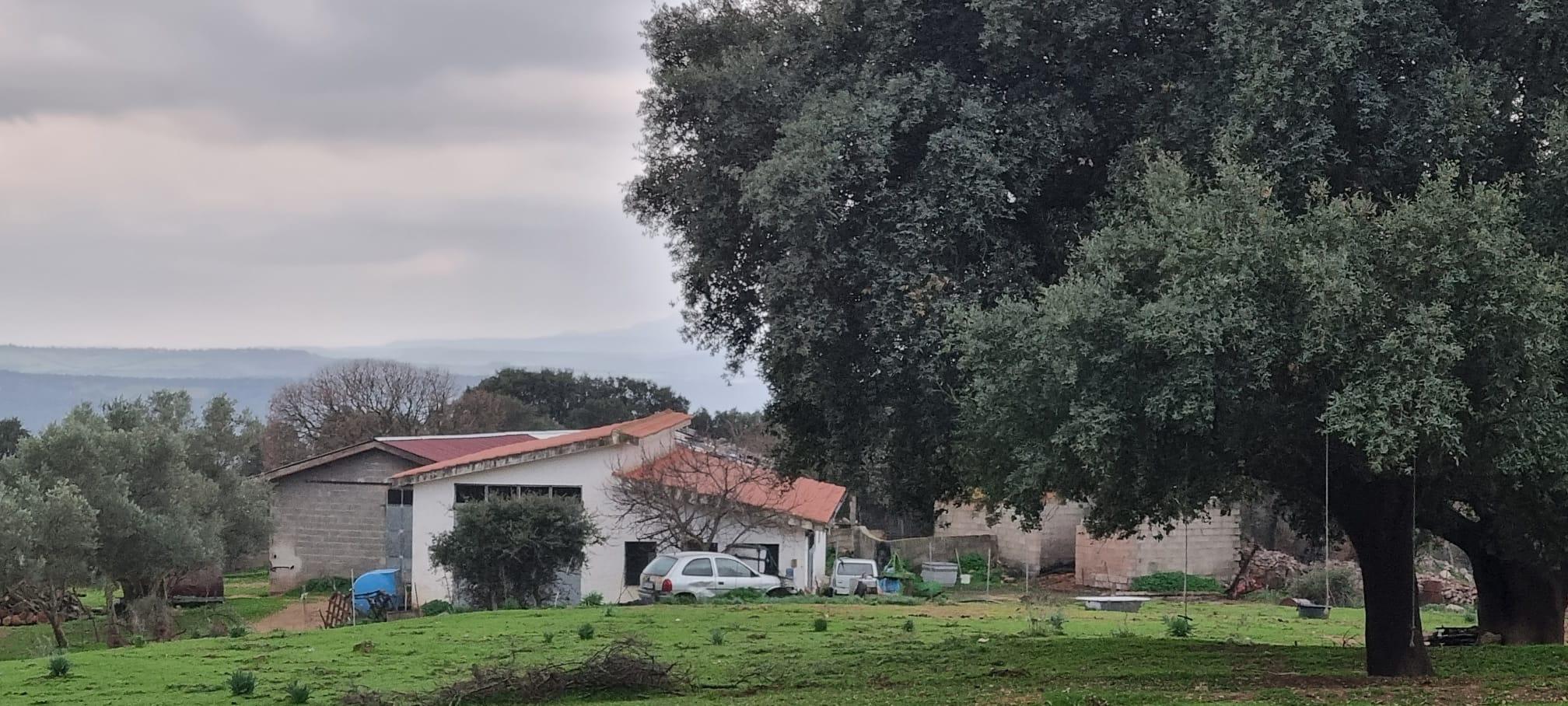 Il podere della vittima (foto Massimo Locci)