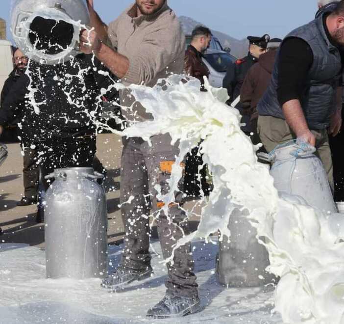 Proteste per il prezzo del latte, due assolti a Sassari