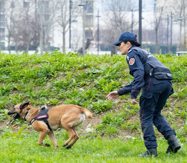Cani uccisi, i ritardi nelle indagini. «Molti non hanno denunciato»