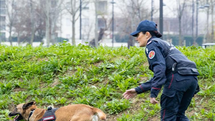 Cani uccisi, i ritardi nelle indagini. «Molti non hanno denunciato»