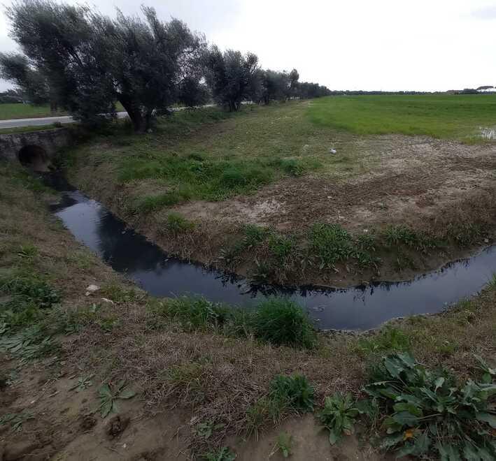 Maleodoranze alla Trappola: «Servono controlli urgenti»