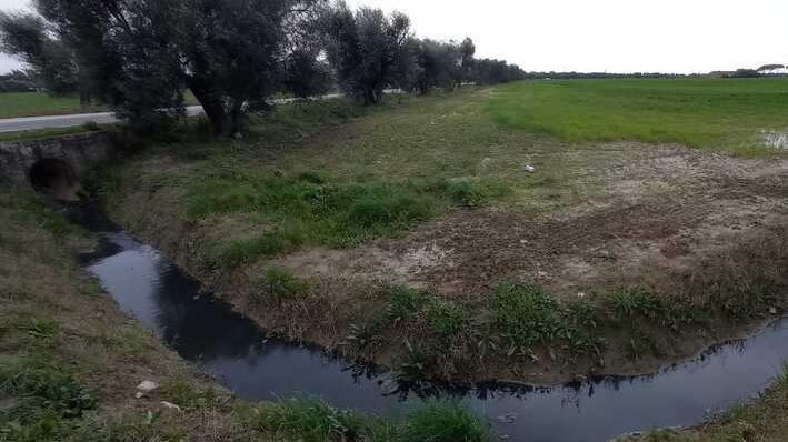 Maleodoranze alla Trappola: «Servono controlli urgenti»