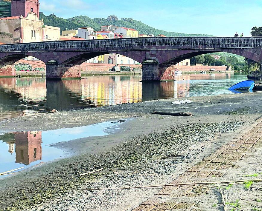 
	L'isolotto formato dai detriti a ridosso dello scalo di alaggio sul Temo

