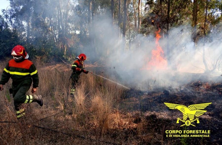 Due presunti incendiari arrestati a Segariu