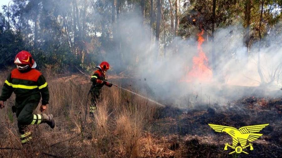 Due presunti incendiari arrestati a Segariu