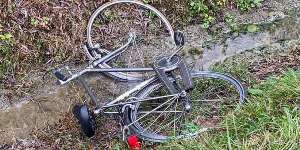 Carpi. Ladri rubano due bici in giardino: «Scappati lanciandole dalla siepe» 
