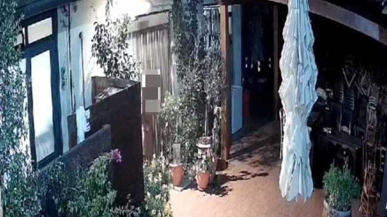«Siamo alla frutta»: ruba arance al ristorante, ma il video finisce online e viene offeso