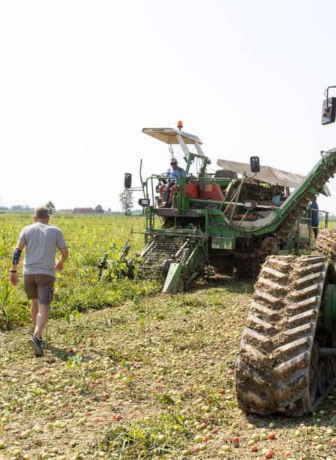 In campagna sempre meno abitanti: ma in Maremma il calo è leggero