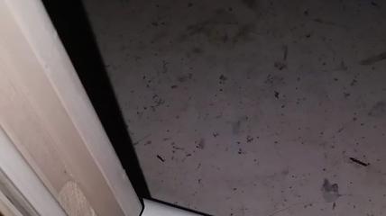 Ferrara, la razzia continua nelle case: bande di ladri acrobati non danno tregua