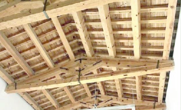 Tarli infestanti cotti al microonde per rilanciare il museo “Tribu” di Nuoro