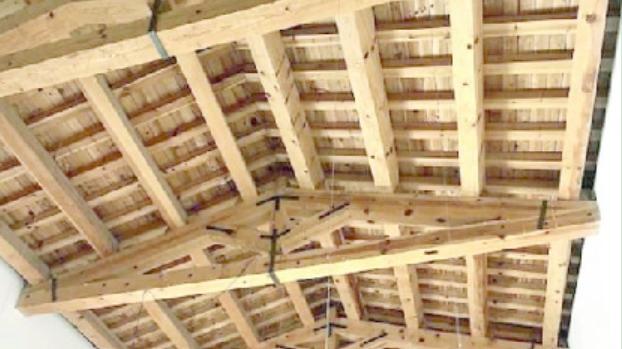 Tarli infestanti cotti al microonde per rilanciare il museo “Tribu” di Nuoro